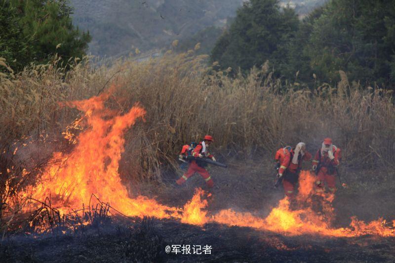云南玉溪森林火灾蔓延至昆明 14集团军赶赴救火(图)