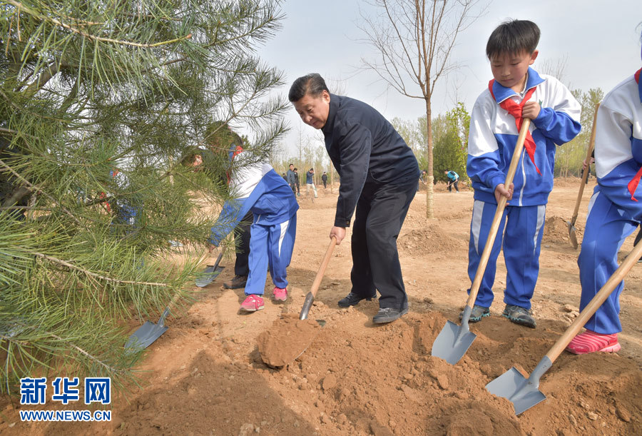 习近平：发扬前人栽树后人乘凉精神 多种树种好树管好树