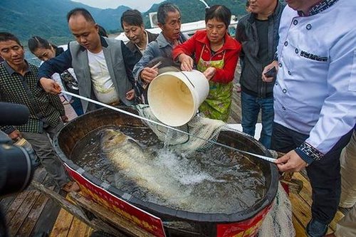 湖南发现上百斤鳙鱼 将制成世界最大