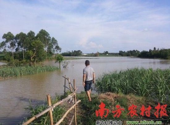广东雷州副市长回应运河改造后决口:损失不大