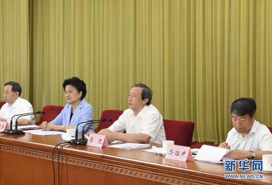 6月23日至24日,全国职业教育工作会议在北京召开。中共中央政治局委员、国务院副总理刘延东,中共中央政治局委员、国务院副总理马凯出席会议并讲话(6月23日摄)。新华社记者 李学仁 摄 6月23日至24日,全国职业教育工作会议在北京召开。中共中央政治局委员、国务院副总理刘延东,中共中央政治局委员、国务院副总理马凯出席会议并讲话(6月23日摄)。新华社记者 李学仁 摄
