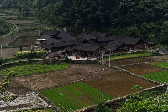 高质量的新闻需要深入调查和持续投入。请您使用下面的链接将澎湃新闻的这篇文章分享给别人。如有更多合作需求，请查看我们的版权页信息或给support@thepaper.cn发邮件。http://www.thepaper.cn/newsDetail_forward_1255860非法土方蒸气练汞作坊下美丽的村落，显得很宁静.