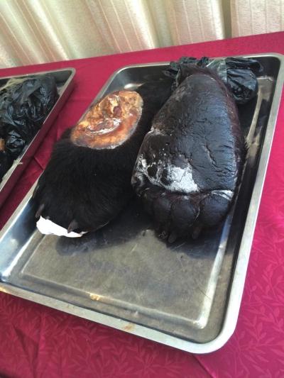 北京破获最大贩卖象牙案 涉案价值2439万元(图)