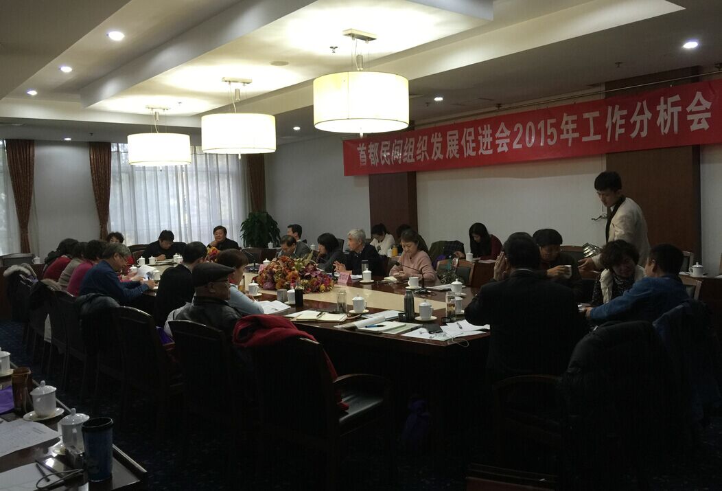 中经中心应首促会邀请参加首都民间组织发展促进会2015年工作分析