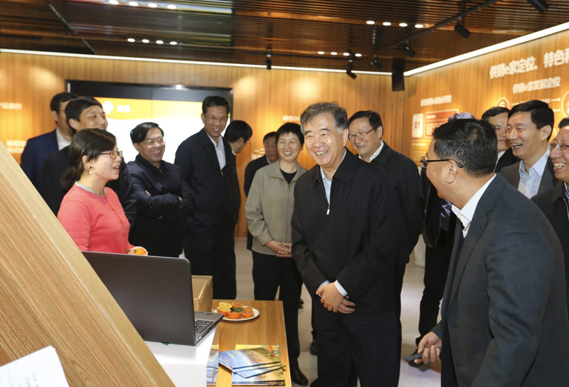加快发展农村电子商务 构建现代农村流通网络