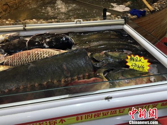 哈尔滨“万元渔村”承认服务员代签字 负责人拒采访