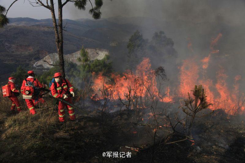 云南玉溪森林火灾蔓延至昆明 14集团军赶赴救火(图)