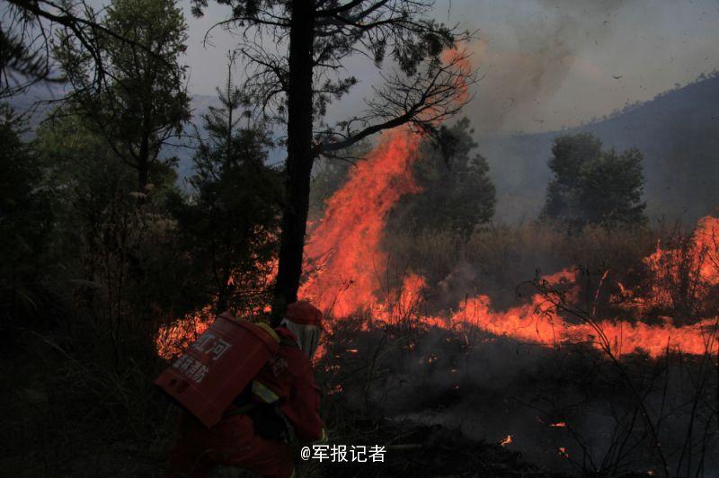 云南玉溪森林火灾蔓延至昆明 14集团军赶赴救火(图)
