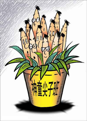 名校早培班调查：个别教育机构称有名校推荐名额
