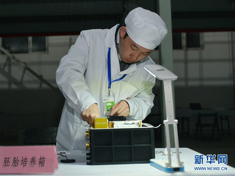 实践十号科学实验载荷及样品状态完好