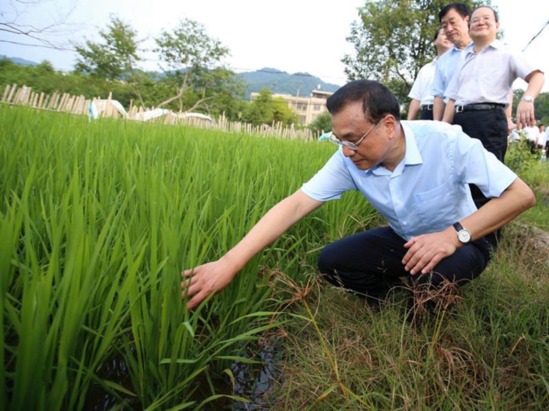 李克强江西考察途中，临时停车挂念这件事(图