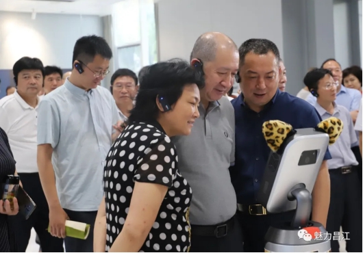 “城市大脑”辅助智慧城市建设