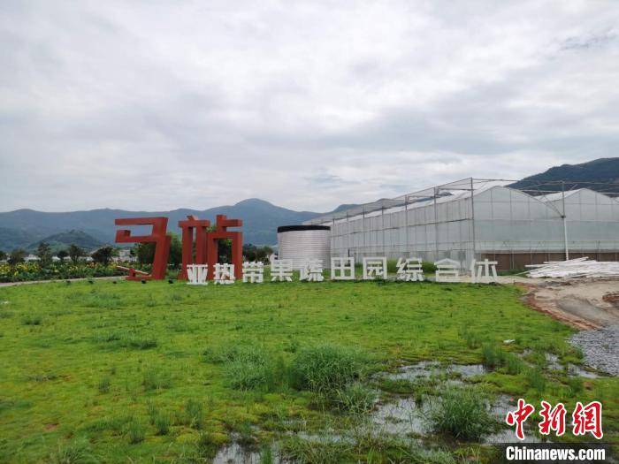 浙江省苍南为城市发展引来“新风” 