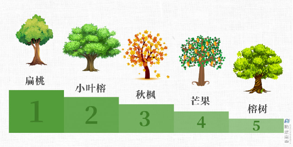 南宁城市建设成效显著